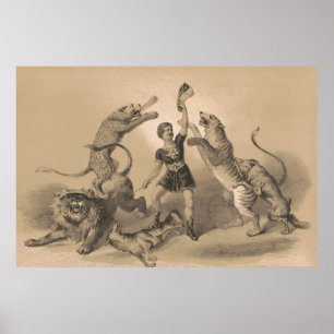 Circus Performer Standing Among Vicious Animals Poster