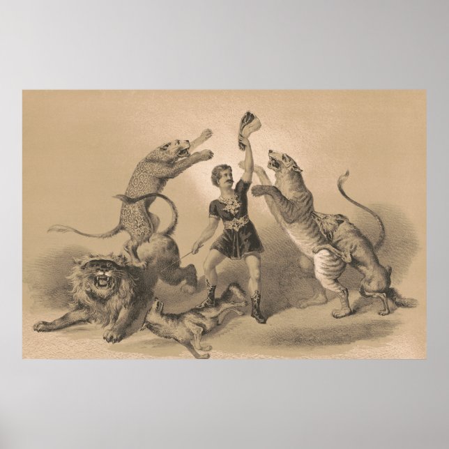 Circus Performer Standing Among Vicious Animals Poster (Front)