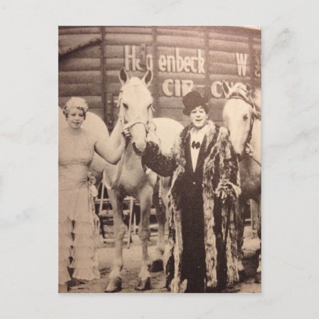 Circus Performers and White Horses Postcard (Front)