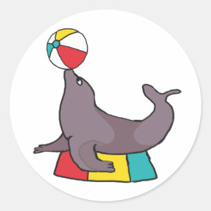 Circus Performing Seal
