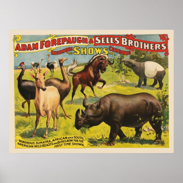 Circus Poster For Adam Forepaugh & Sells Brothers (Front)