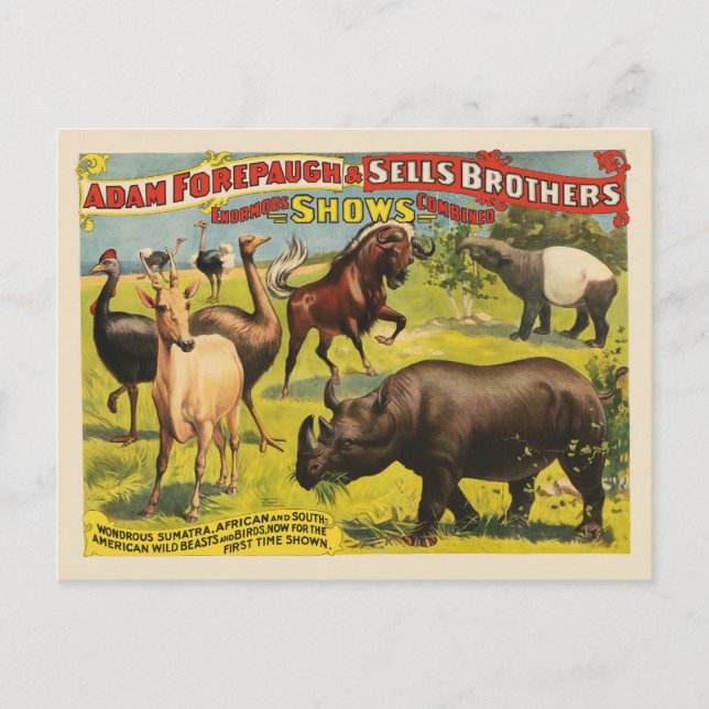 Circus Poster For Adam Forepaugh & Sells Brothers Postcard (Front)
