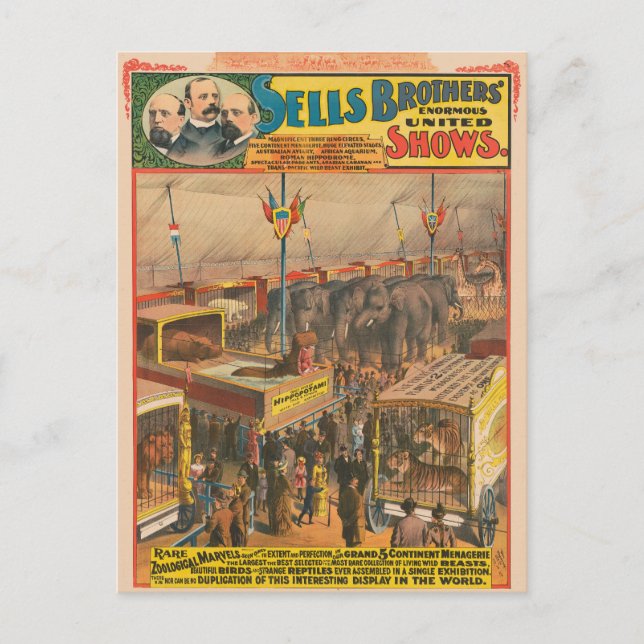 Circus Poster Of Animals On Exhibit In A Tent Postcard (Front)