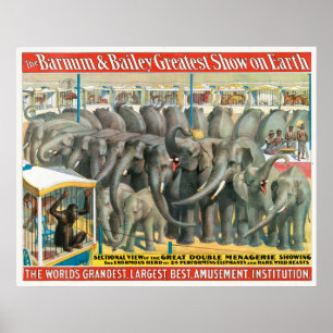 Circus Poster Of Elephants And Animals In Cages