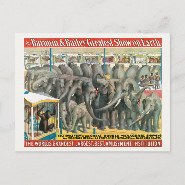 Circus Poster Of Elephants And Animals In Cages Postcard (Front)