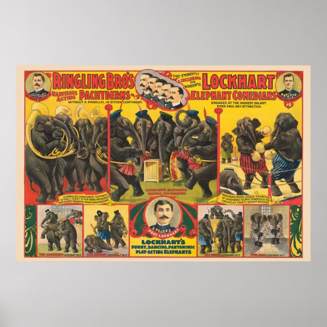 Circus Poster Of Elephants Performing (Front)