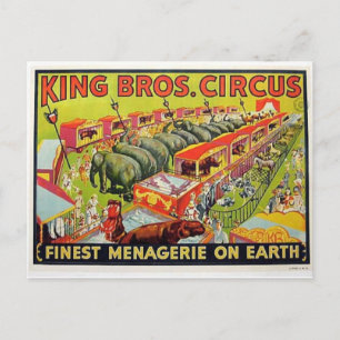 Circus Poster Postcard