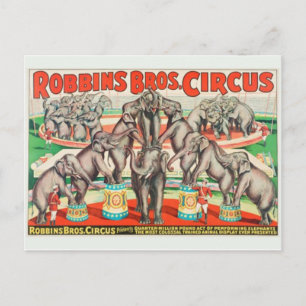Circus Poster Postcard