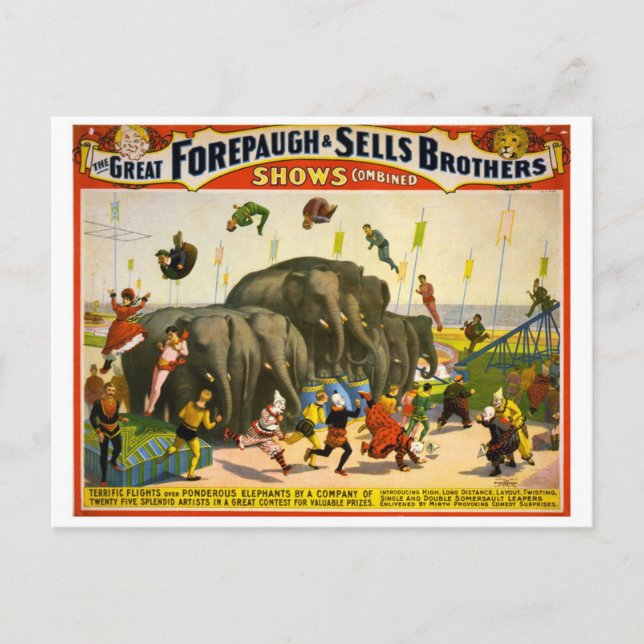 Circus Poster Postcard (Front)