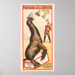 Circus Poster Showing A Sea Lion Catching Hats