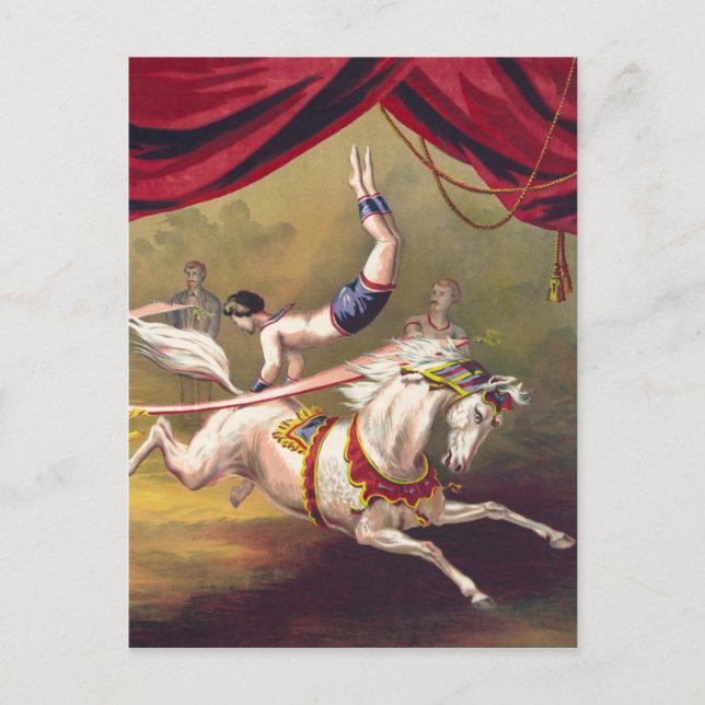 Circus poster showing acrobat performing on horse postcard (Front)