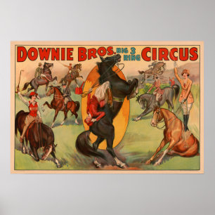 Circus Poster Showing Many Horses Doing Stunts.