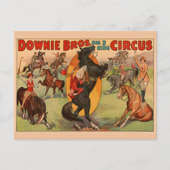 Circus Poster Showing Many Horses Doing Stunts. Postcard (Front)