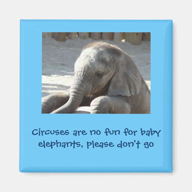 Circuses are no fun for baby elephants magnet (Front)