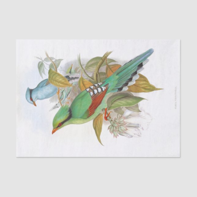 Cissa Venatoria Decoupage  Tissue Paper (Front)