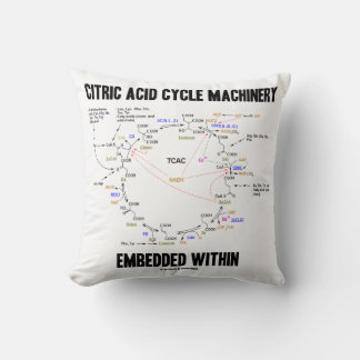 Citric Acid Cycle Machinery Embedded Within Krebs Cushion