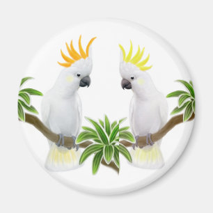 Citron & Sulphur Cockatoo Magnet