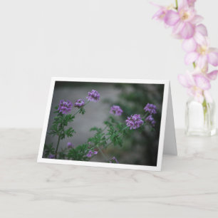 Citronella Plant with Floral Portrait Card