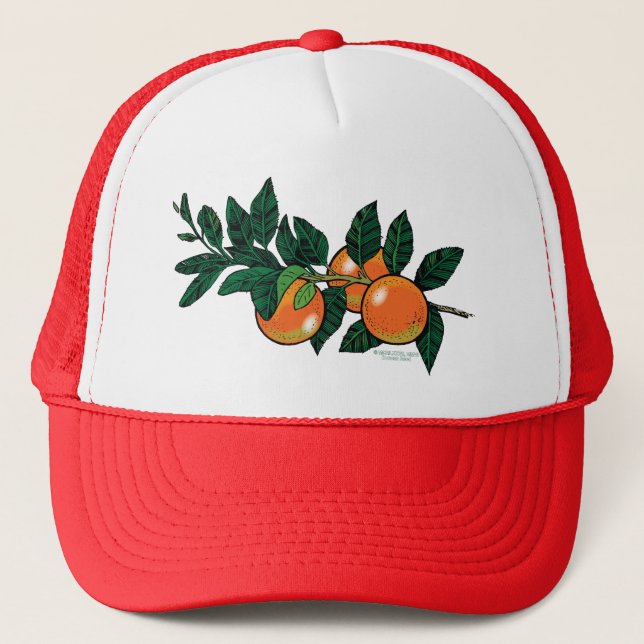 citrus branch cap (Front)
