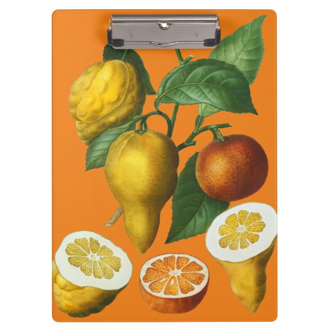 CITRUS FRUIT   CLIPBOARD (Front)