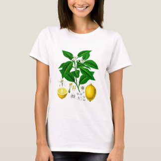 Citrus Fruit Lemon Botanical Print no. 7 Art T-Shirt