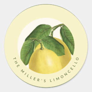 Citrus Fruit   Lemons   Homemade Limoncello Classic Round Sticker