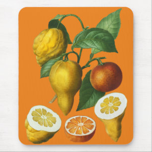 CITRUS FRUIT MOUSE MAT