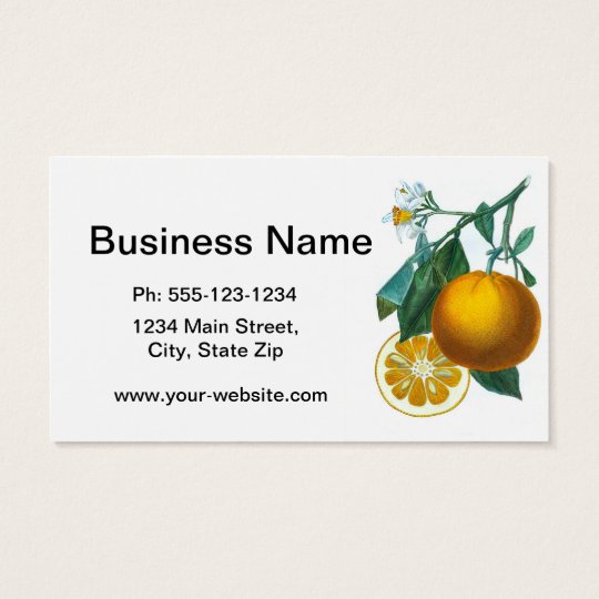 Citrus Fruit Orange Print no. 6 art decor Business Card