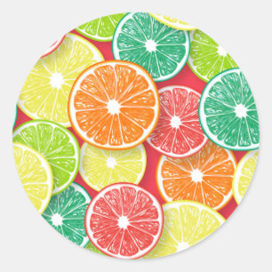 Citrus fruit slices pop art 2 classic round sticker