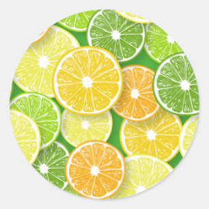 Citrus fruit slices pop art 3 classic round sticker