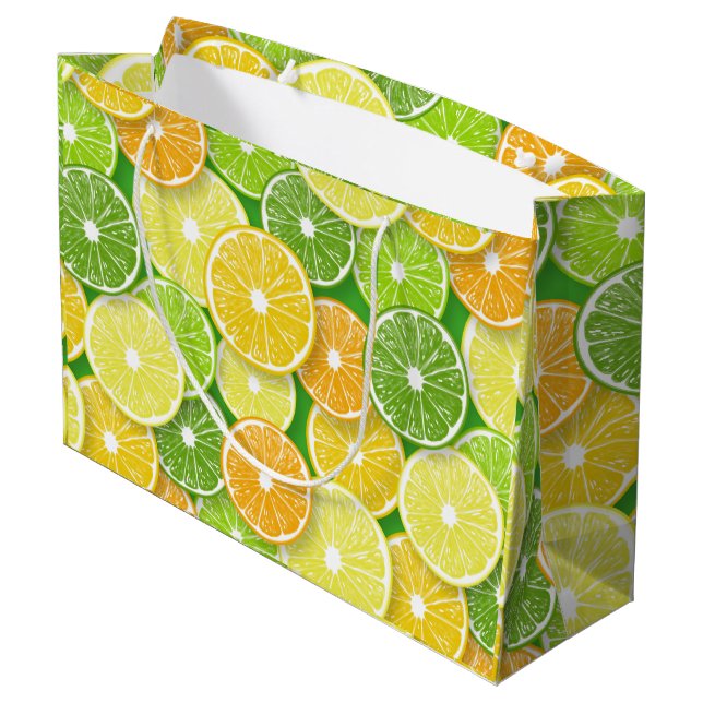 Citrus fruit slices pop art 3 large gift bag (Back Angled)