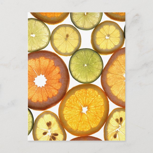 Citrus Fruit Slices Postcard (Front)