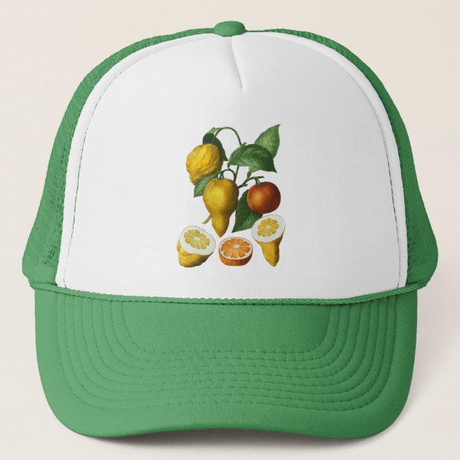 CITRUS FRUIT   TRUCKER HAT (Front)