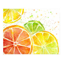 Citrus Fruit Watercolor Art Print Poster