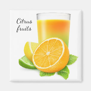 Citrus fruits juice magnet