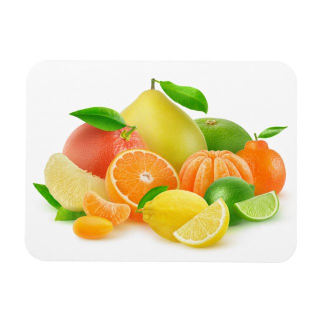 Citrus Fruits Magnet (Horizontal)