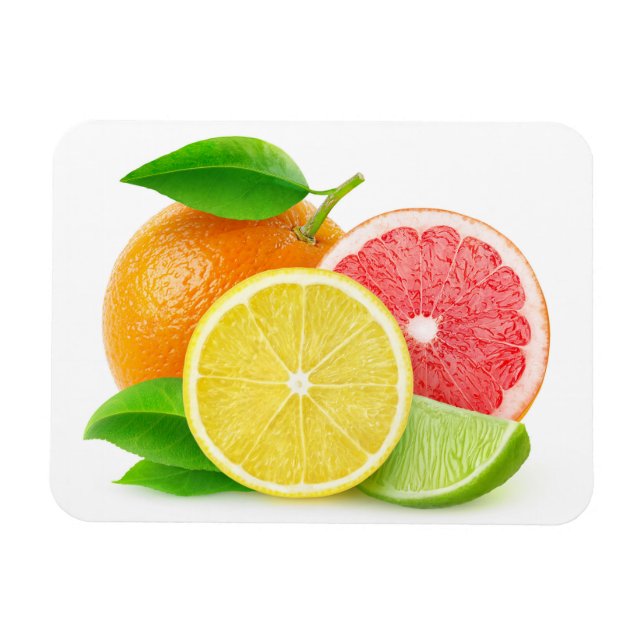 Citrus fruits magnet (Horizontal)