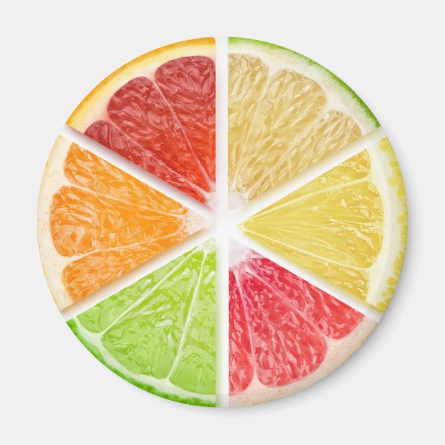 Citrus fruits slices magnet (Front)