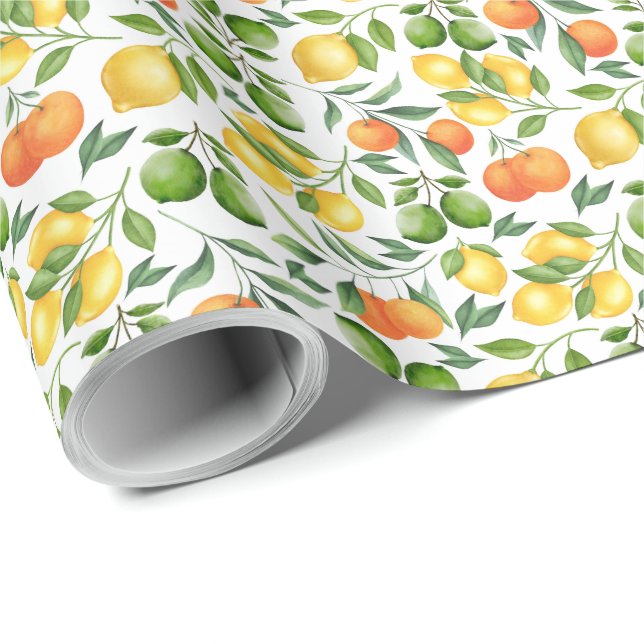 Citrus Fruits Wrapping Paper (Roll Corner)