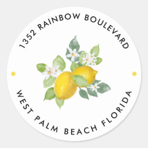 Citrus Lemon Theme Baby Shower Return Address Classic Round Sticker