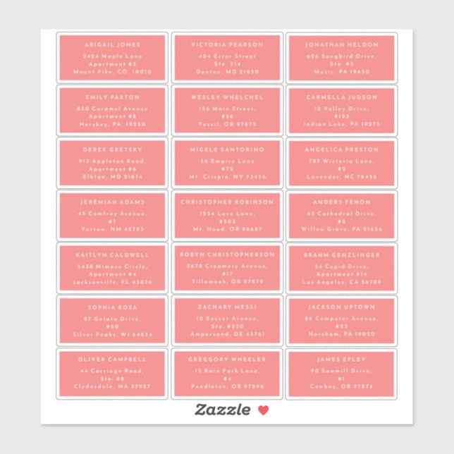 Citrus Minimalist Pink Wedding Guest Address (Sheet)