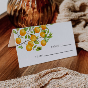 Citrus Orange Wedding Table Number  Place Card