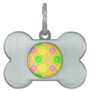 Citrus Pet Tag