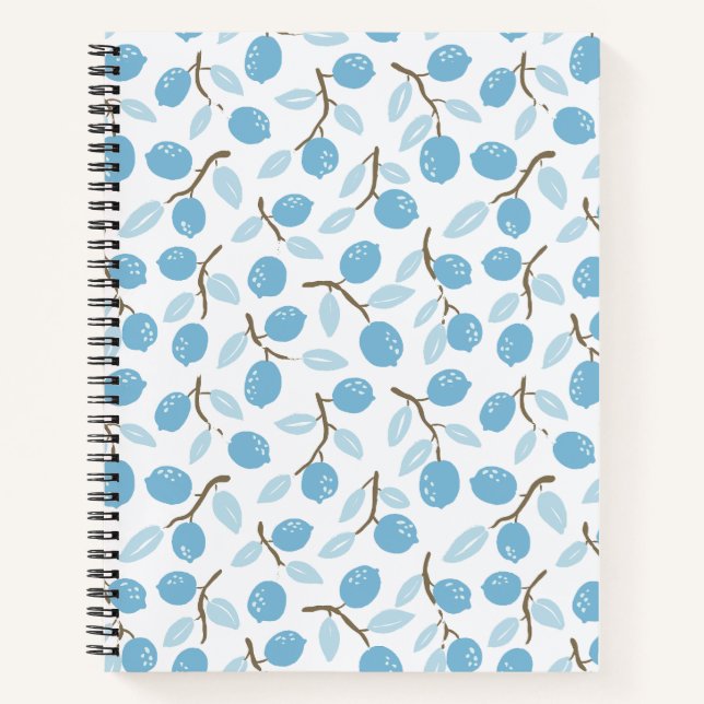 Citrus Scribbles Blue Brown Notebook (Front)