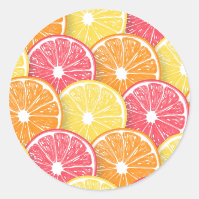 Citrus slices classic round sticker (Front)