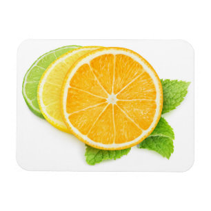 Citrus slices magnet