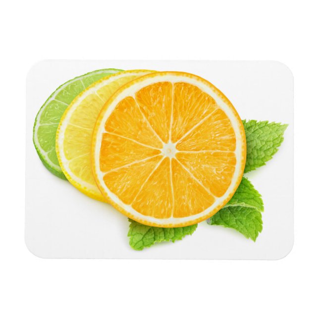 Citrus slices magnet (Horizontal)