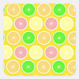 Citrus Square Sticker