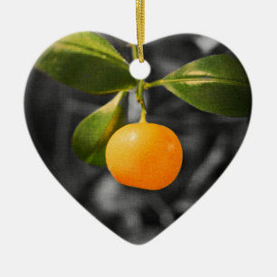 Citrus Tree Ceramic Tree Decoration