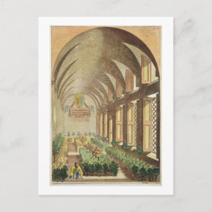 Citrus trees in a hothouse, from 'Hesperides' by G Postcard